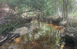 550 Old Shoals Road, Monetta, SC 29129