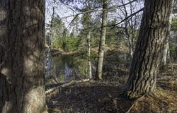 CTH H lot: # 8, Boulder Junction, WI 54512