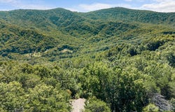 600 Piney Gate Road, Saluda, NC 28773