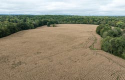 3730 Goshen Road, Stanford, KY 40484