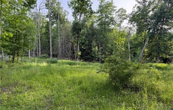 Cronk Hill Road, Fillmore, NY 14735