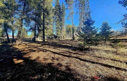 92 Rouleau Loop, Weippe, ID 83531