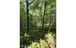Strawberry Road, Lilly, PA 15938