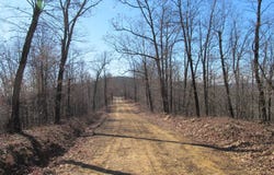 4795 Madison, Pettigrew, AR 72752