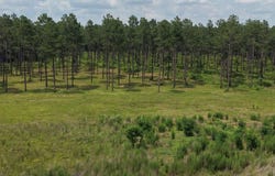 5115 Hwy 200, Blakely, GA 39823