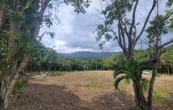 Caguas, Caguas, PR 00725