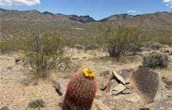 316-05-018 June, Dolan Springs, AZ 86441