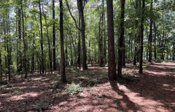 1595 PULLMAN LANE, Greensboro, GA 30642