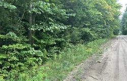 V/L VAN, LEVERING, MI 49755