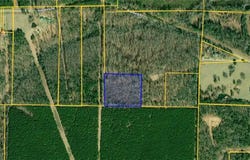 London, AR 72847