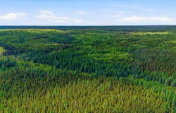 -, Cook, MN 55723