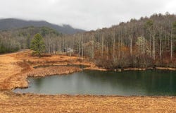 Whisper Woods Road lot: 42, Hiawassee, GA 30546