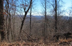 4795 Madison, Pettigrew, AR 72752