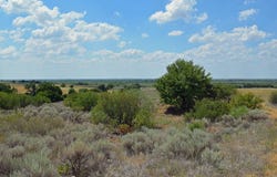 E 1960 Rd, Grandfield, OK 73546