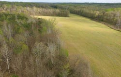 Highway 114, Hollow Rock, TN 38342
