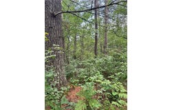 E Wilderness Court, Barnes, WI 54873