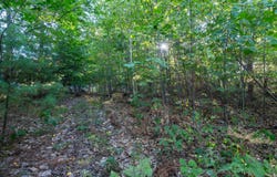 West Road, Waterboro, ME 04087
