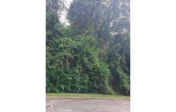 0 Moore Street, Walterboro, SC 29488