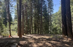 361 Lake Forest Drive, Trinity Center, CA 96091