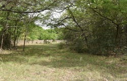 Mitchell Road, Kosse, TX 76653