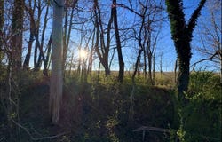 GORDON AVE, LOUISA, VA 23093