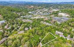 99999 Mountain Site Lane, Asheville, NC 28803