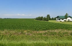 213th Avenue lot: 1, Milford, IA 51351