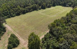 286 Shrike Road, St. Matthews, SC 29135
