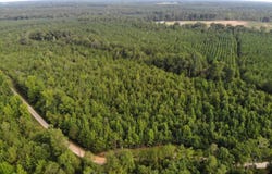 Chenault Drive, Tract A, Saluda, SC 29138