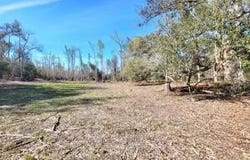 Hwy 90, Sneads, FL 32460