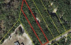 RIM ROCK, WEBSTER, FL 33597