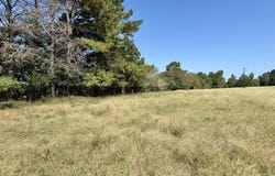 3.4 Acres County Road 661, Samson, AL 36477