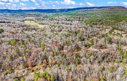 2805 Larue Ridge Road, Dover, AR 72837