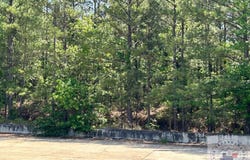 Miller St., Atlanta, TX 75551