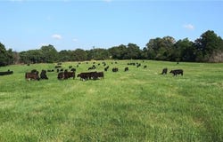 1550 TBD County Road, Compton, AR 72624