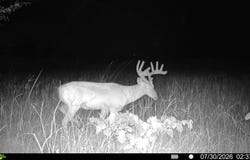 33375 Hwy 45, Leary, GA 39862