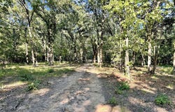 PR 5040 & 5041, Bogata, TX 75417