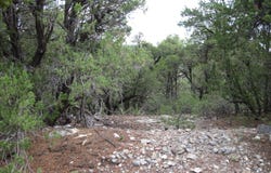 Beaver Lane, Cedar Crest, NM 87008