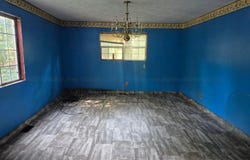 111 U.S. 278, Guin, AL 35563