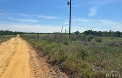 2905 Donald Cobb Road, Bartow, GA 30413