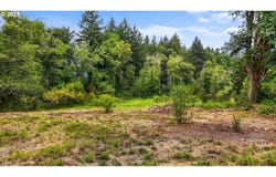 NE 221St Ave, Amboy, WA 98601