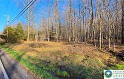 Mountain Road, Penn Forest Twp, PA 18210