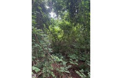 9298 FM 992, DeKalb, TX 75559