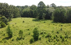 334 Highway 347, Bismarck, AR 71929