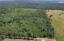 TBD-D County Road 4021, Timpson, TX 75975
