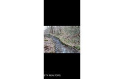 Watson Hollow Rd, Speedwell, TN 37870