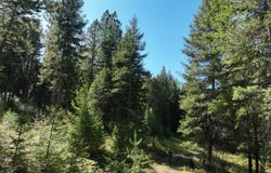 NNA Westmond Rd, Sagle, ID 83860