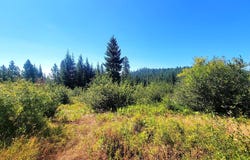 Simcoe Mtn Rsrv, Goldendale, WA 98620