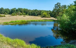 Lawrence Road 138, Ravenden, AR 72459