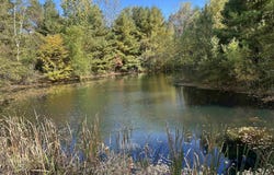 56 Old Stage Road, Putney, VT 05346